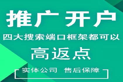 SEM精准广告投放的五大成功案例
